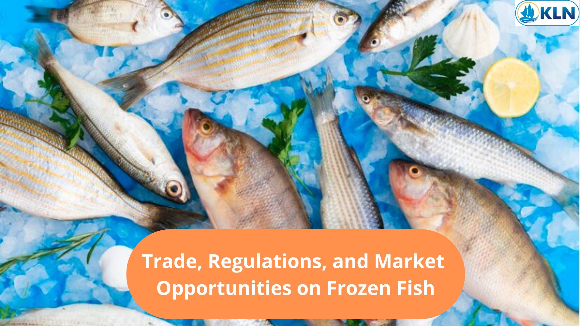 Trade, Regulations, and Market Opportunities on Frozen Fish